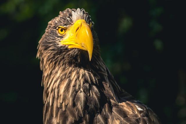 Zoo Praha parkování cena: Kolik stojí parkování u pražské zoo