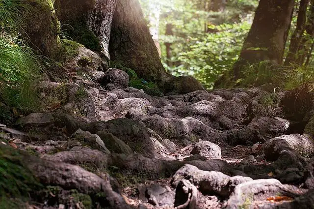 Riegrova Stezka Parkování: Parkování u Turistické Trasy